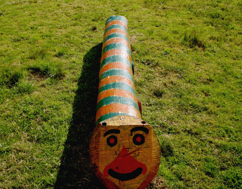 Gusanito De Madera En El Parque