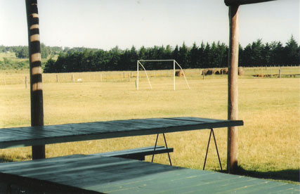 Futbol y Asado